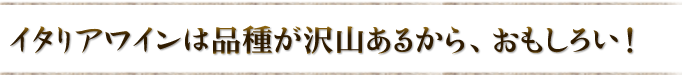 おもしろい