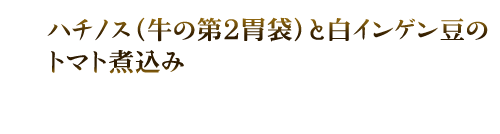 ハチノス(牛の第2胃袋)と白インゲン豆のトマト煮込み